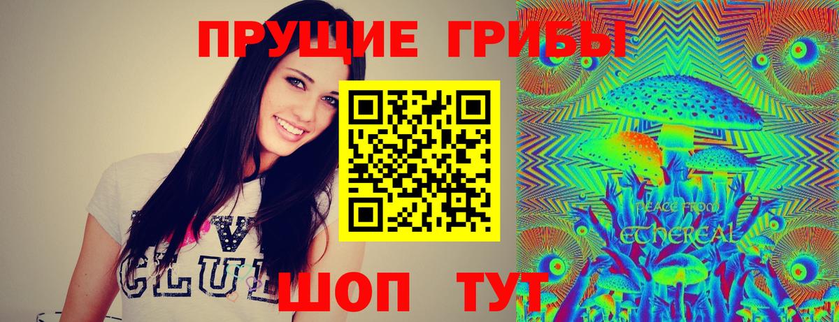 Псилоцибиновые грибы GOLDEN TEACHER  Вход с VPN  Курчатов 